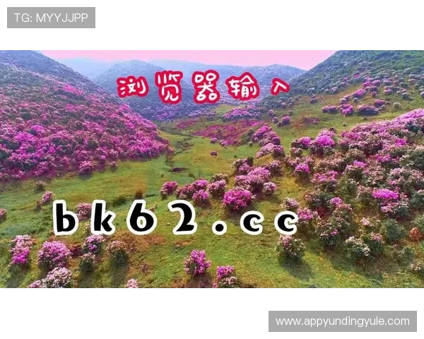 ag百家乐网址最新安全可靠的登录入口推荐，确保玩家游戏体验顺畅无忧
